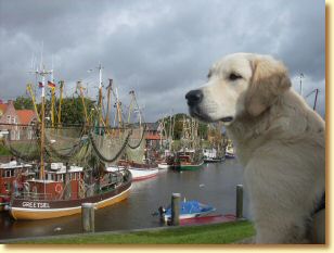 Greetsiel 6.jpg